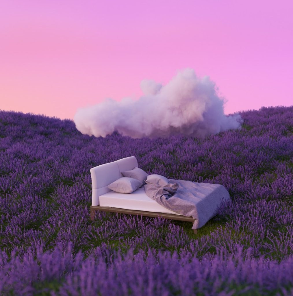 Lavender Dream, 2021